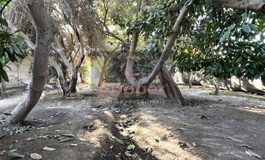 Casa en Arriendo en Entre Callejones Rafael Torreblanca y Ricardo Vallejos