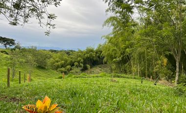 LOTE EN VENTA VIA QUIMBAYA / QUINDIO