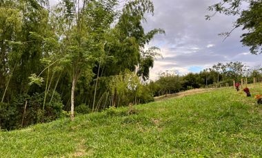 LOTE EN VENTA VIA QUIMBAYA / QUINDIO