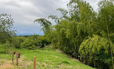LOTE EN VENTA VIA QUIMBAYA / QUINDIO