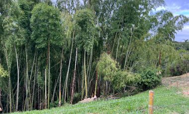 LOTE EN VENTA VIA QUIMBAYA / QUINDIO