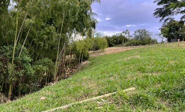 LOTE EN VENTA VIA QUIMBAYA / QUINDIO