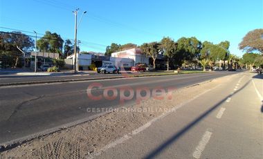 Local Comercial en Venta en Copayapu Entre Calle Colipí y Avenida Henrriquez