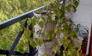 PH - Lomas de Zamora Oeste