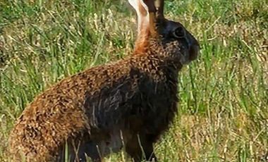 Terreno en San Sebastian! Oportunidad!