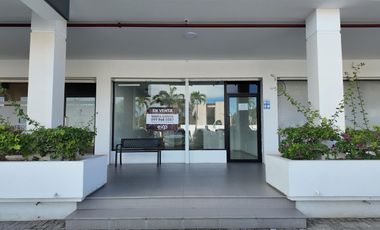 Local Comercial Plaza Beach #3