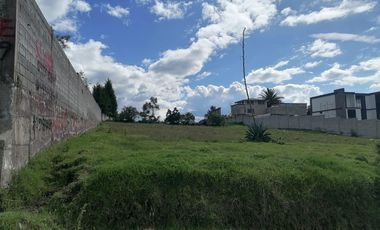 Terreno en Venta La Merced, Alangasi 2040 m2