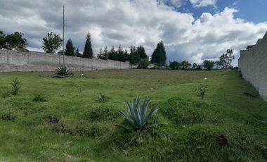 Terreno en Venta La Merced, Alangasi 2040 m2