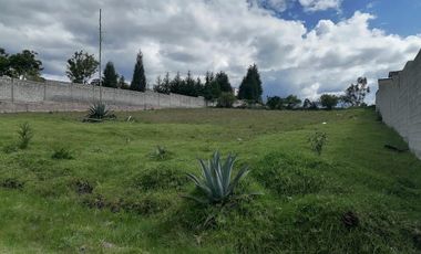 Terreno en Venta La Merced, Alangasi 2040 m2