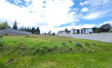 Terreno en Venta La Merced Alangasi 2040 m2