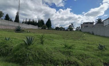 Terreno en Venta La Merced, Alangasi 2040 m2