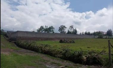 Terreno en Venta La Merced, Alangasi 2040 m2