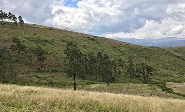 Venta terreno Cochasquí, 60ha para florícola junto a canal de riego