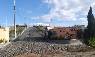 Venta terreno Cochasquí, 60ha para florícola junto a canal de riego