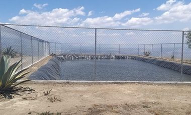 Venta terreno Cochasquí, 60ha para florícola junto a canal de riego