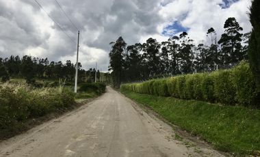 Venta terreno Cochasquí, 60ha para florícola junto a canal de riego