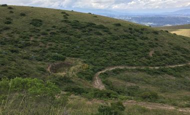 Venta terreno Cochasquí, 60ha para florícola junto a canal de riego