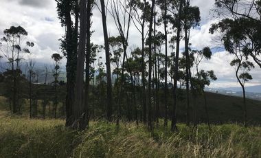 Venta terreno Cochasquí, 60ha para florícola junto a canal de riego