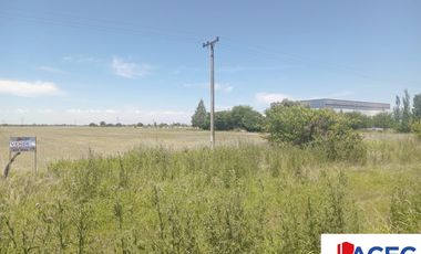 Venta - Campo- Alvear