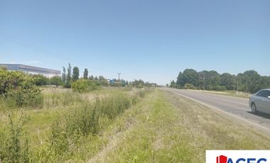 Venta - Campo- Alvear