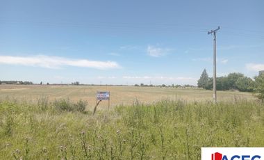 Venta - Campo- Alvear