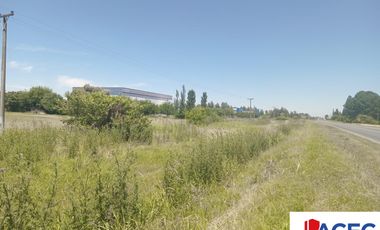 Venta - Campo- Alvear