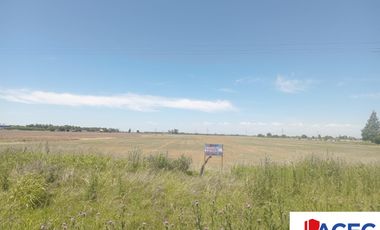 Venta - Campo- Alvear