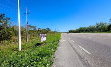 Terreno en venta de 10 hectáreas sobre carretera Motul - Mérida.