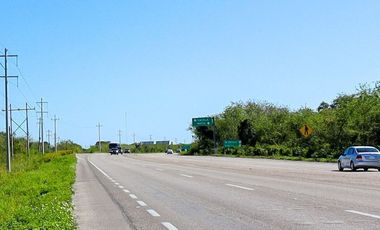 Terreno en venta de 10 hectáreas sobre carretera Motul - Mérida.