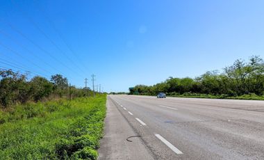 Terreno en venta de 10 hectáreas sobre carretera Motul - Mérida.