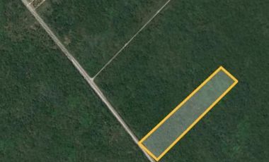 Terreno en venta de 10 hectáreas sobre carretera Motul - Mérida.