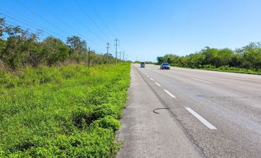 Terreno en venta de 10 hectáreas sobre carretera Motul - Mérida.