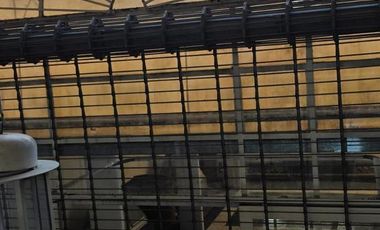 Local en  Lomas de Zamora