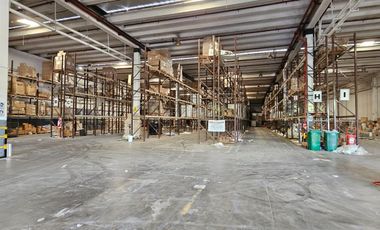 Depósito - Alquiler - Pablo Podestá