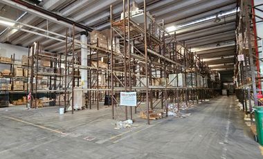 Depósito - Alquiler - Pablo Podestá