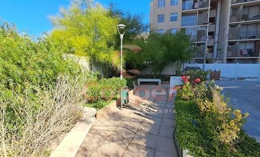 Departamento en Arriendo en Entre Diego de Almagro y Pedro de Valdivia