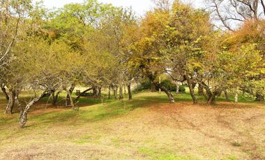 INCREIBLE CAMPO EN ALQUILER TEMPORADA FIESTAS Y ENERO EN SALTA CAPITAL