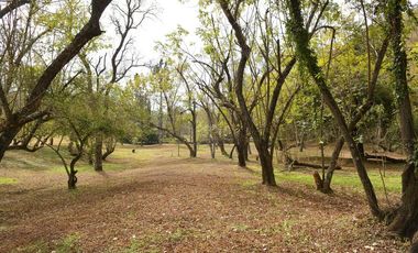 INCREIBLE CAMPO EN ALQUILER TEMPORADA FIESTAS Y ENERO EN SALTA CAPITAL