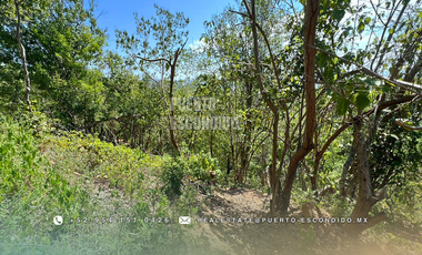 Terreno con Vista al Mar en Mazunte