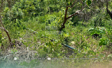 Terreno con Vista al Mar en Mazunte