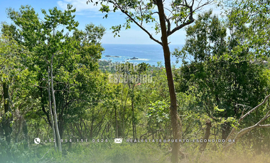 Terreno con Vista al Mar en Mazunte