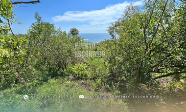 Terreno con Vista al Mar en Mazunte