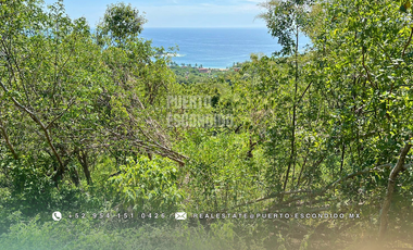 Terreno con Vista al Mar en Mazunte