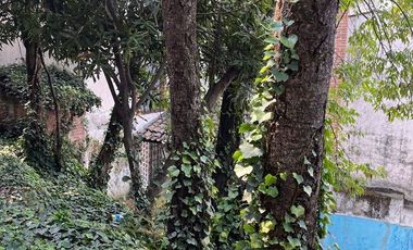 Casa  en renta en Pedregal de San Nicolás