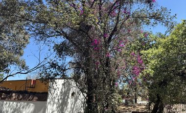 Casa  en renta en Pedregal de San Nicolás