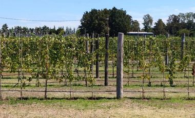 Terreno en  venta en Barrio Cerrado