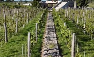 Terreno en  venta en Barrio Cerrado