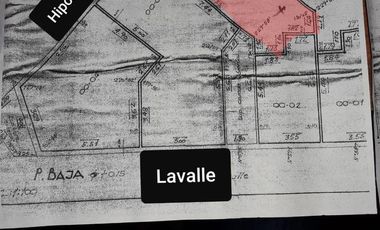 Local - Temperley Oeste