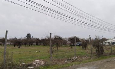 Grace Kelm Vende hermosa Parcela Plana con luz y cercado, a minutos de ruta 5 Sur en Linares