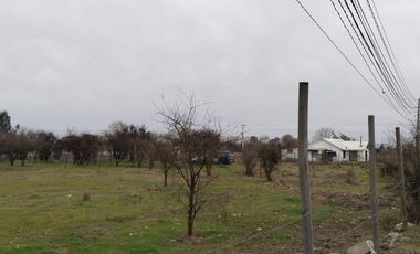 Grace Kelm Vende hermosa Parcela Plana con luz y cercado, a minutos de ruta 5 Sur en Linares